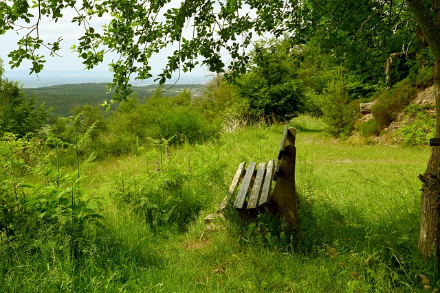 依然可以引 依然可以引