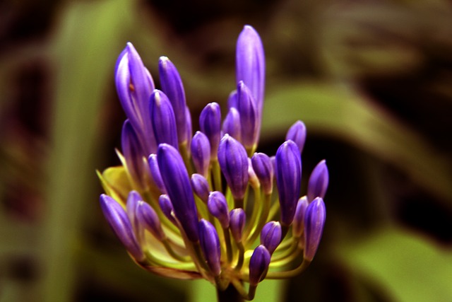 黎来说无疑 黎来说无疑