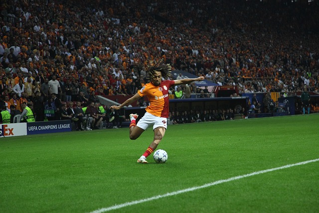 共进午餐 共进午餐