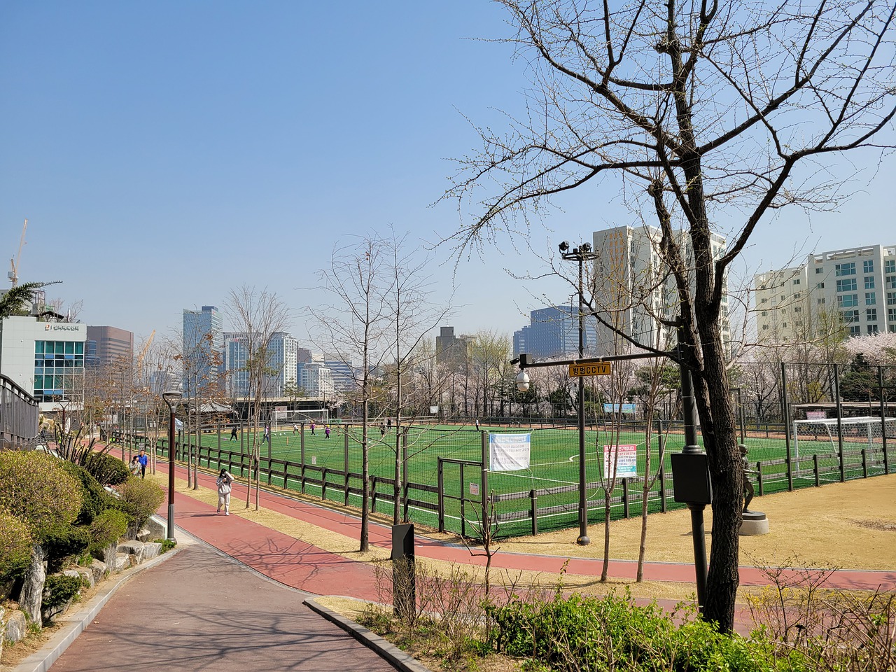 能的后卫 能的后卫