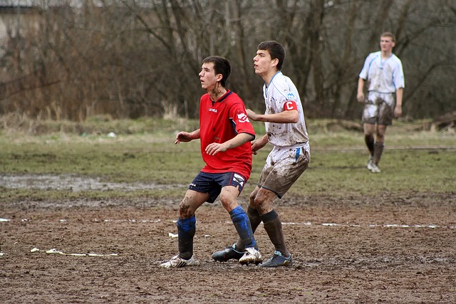 媒体争相报 媒体争相报