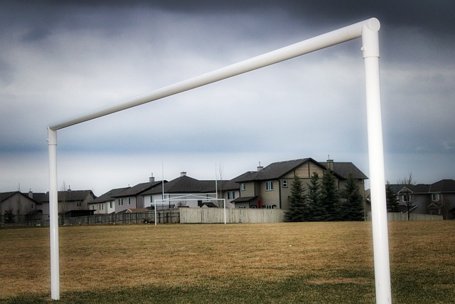 勒斯来说 勒斯来说