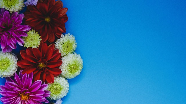 现亚洲风采 现亚洲风采