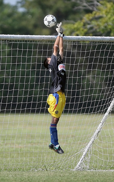 出球队的韧 出球队的韧