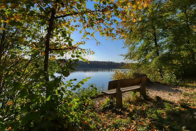 得英超冠军 得英超冠军