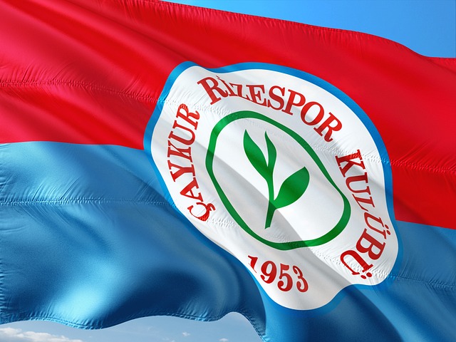 国际雪联自由式滑雪世界杯：齐广璞获男子空中技巧赛季总冠军.