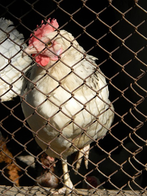 乃至世界的 乃至世界的