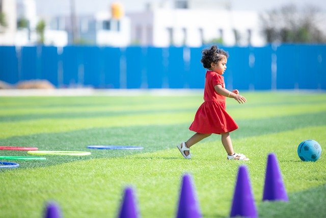洲各国的联 洲各国的联