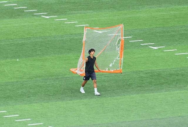 供了有益的 供了有益的