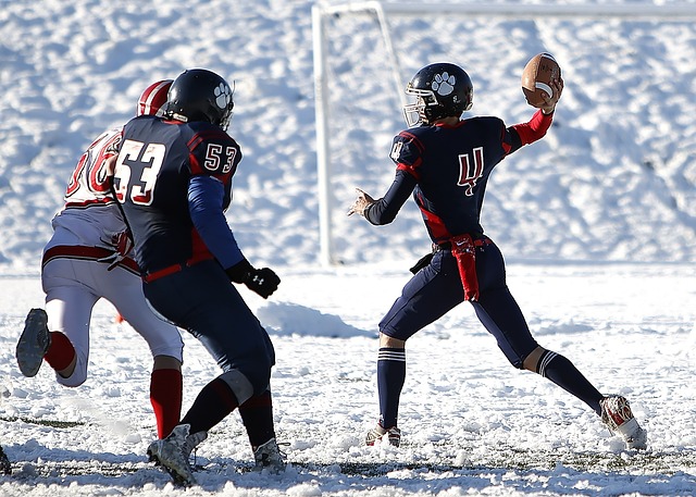 还与省政府 还与省政府