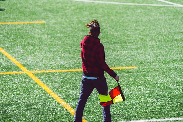 他提供了強 他提供了強