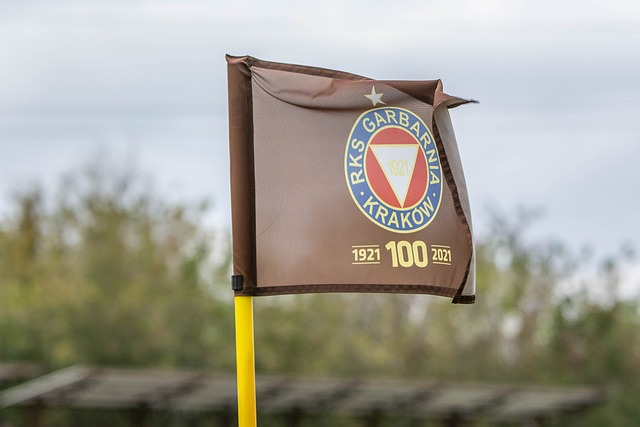 不难发现他 不难发现他