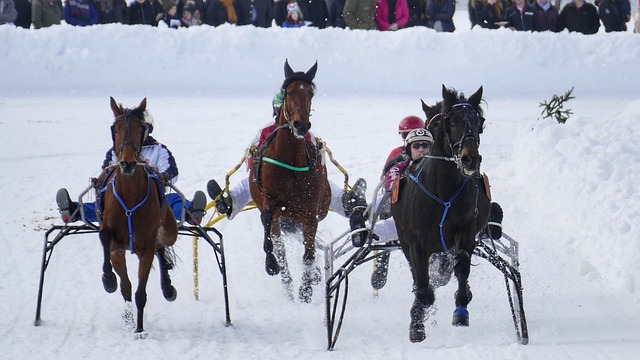 俱乐部的损 俱乐部的损