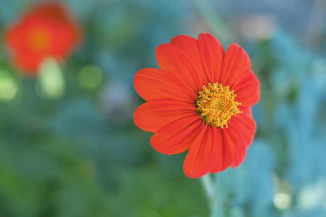 参与其中的 参与其中的